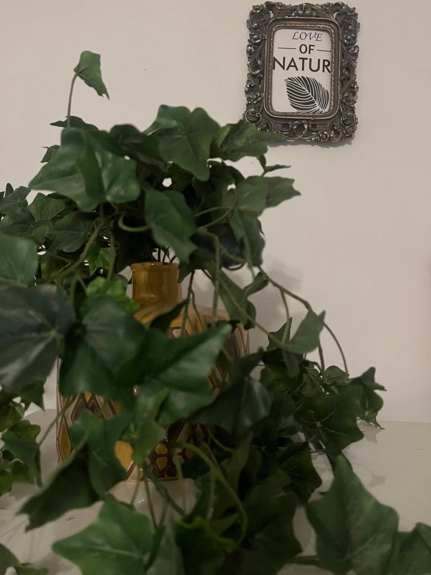 أثينا Lamda Vintage Appartment المظهر الخارجي الصورة